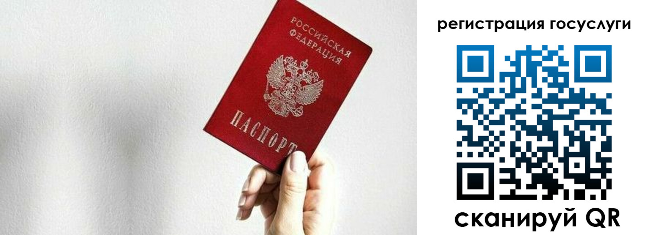 прописка гарантия в Бийске